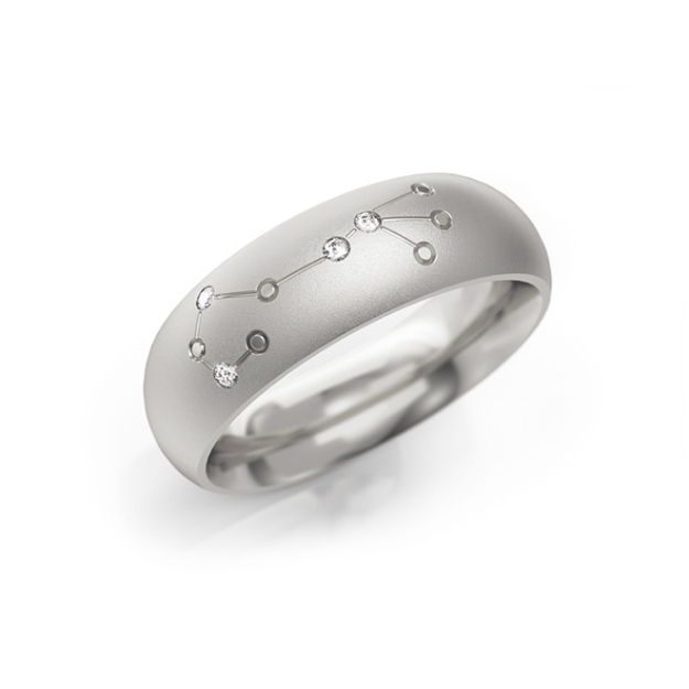 Bild von Zodiac Ring "Skorpion"_610 W